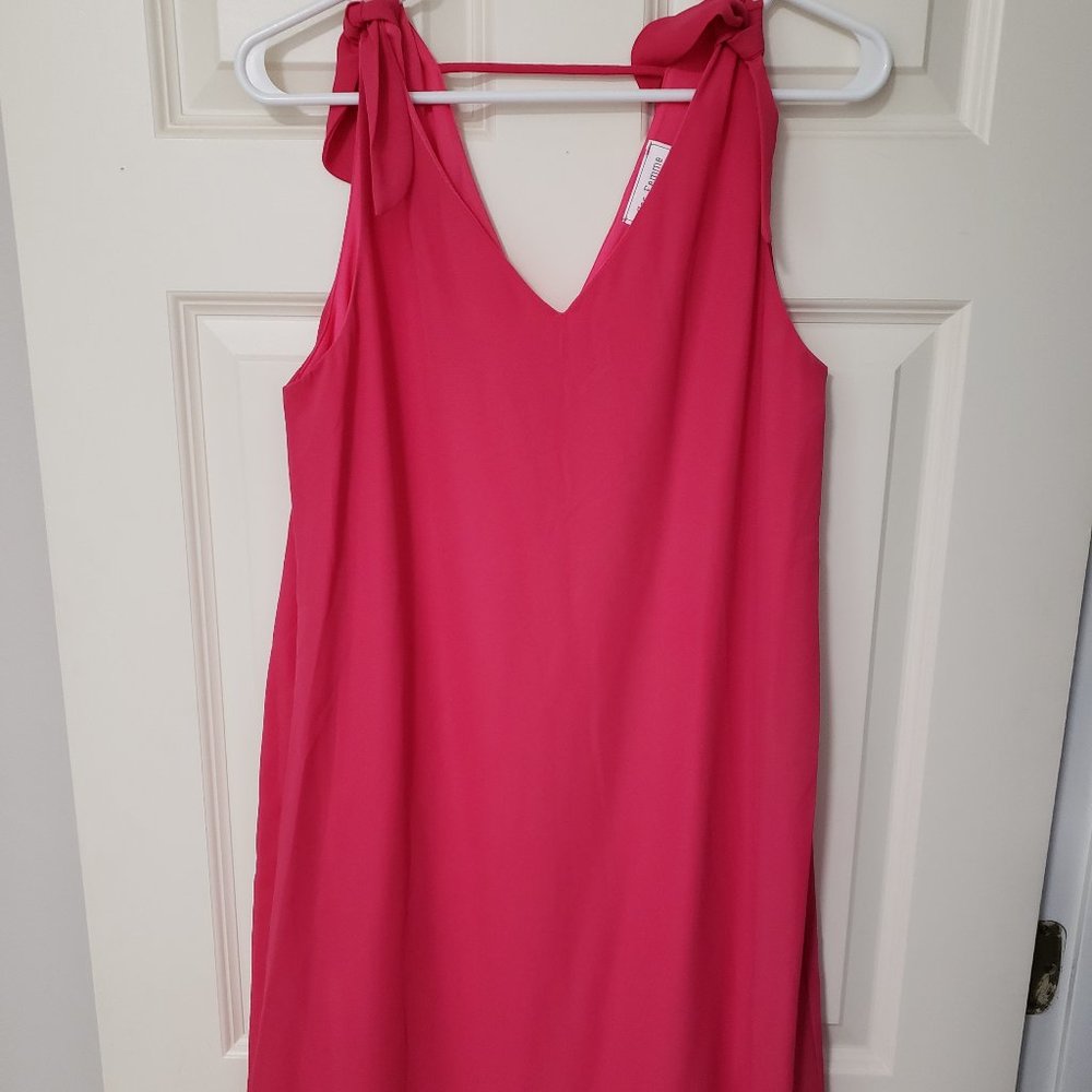 NWOT Pink Tie Top Tank Dress